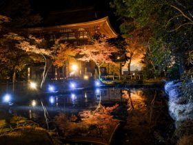 室生寺紅葉見ごろ