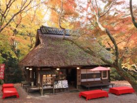 水谷茶屋紅葉見ごろ