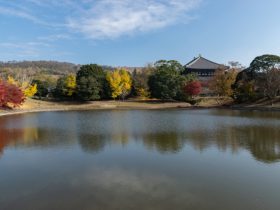 大仏池紅葉見ごろ