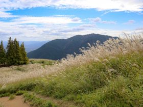 葛城山紅葉見ごろ