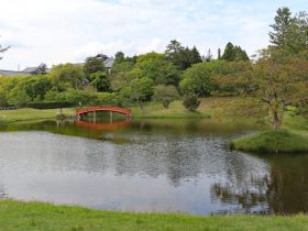 旧大乗院庭園紅葉見ごろ